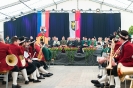 Bezirksmusikfest 2015_139