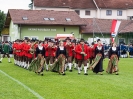 Bezirksmusikfest 2015_184