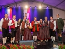 Bezirksmusikfest 2015_289
