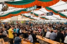 Bezirksmusikfest 2015_310
