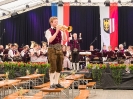 Bezirksmusikfest 2015_358