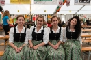 Bezirksmusikfest 2015_61